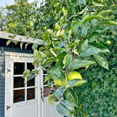 Casa de Férias Havn Hus - Traumhaftes Nah Am Hafen & *