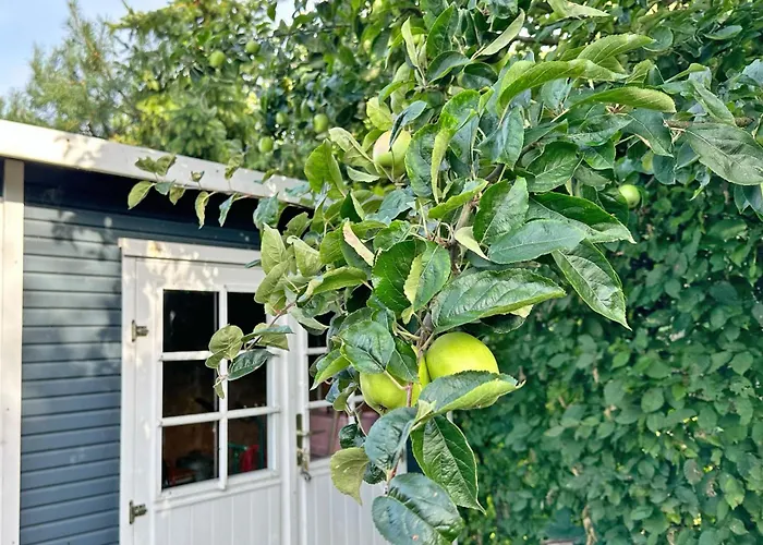 Casa de Férias Havn Hus - Traumhaftes Nah Am Hafen & *